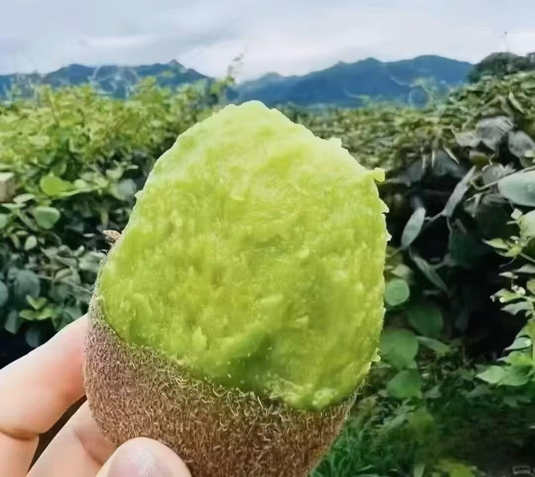 徐香猕猴桃食用指南